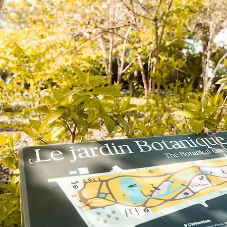 Le Noeud Du Diable - T3 Spacieux Lägenhet Tours