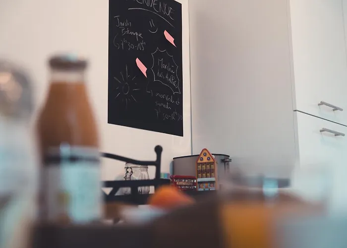 Apartament Le Noeud Du Diable - T3 Spacieux Tours