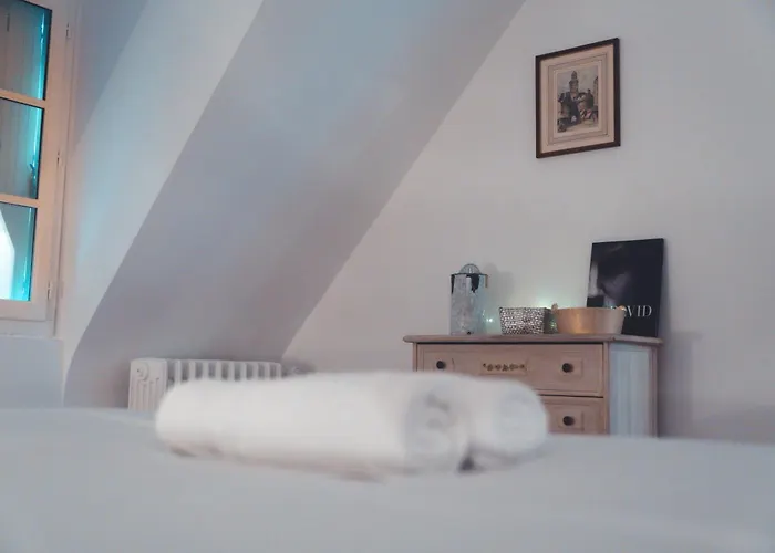 Apartament Le Noeud Du Diable - T3 Spacieux Tours